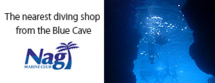 The nearest diving shop from the Blue Cave